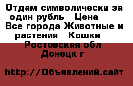 Отдам символически за один рубль › Цена ­ 1 - Все города Животные и растения » Кошки   . Ростовская обл.,Донецк г.